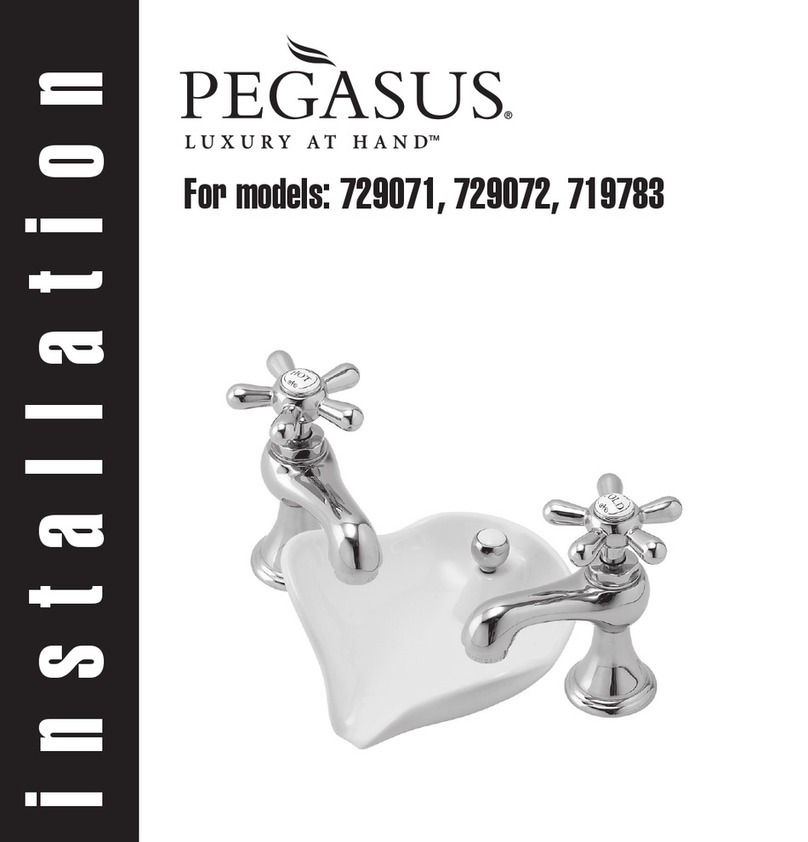 Pegasus LUXURY AT HAND 729071 Installation