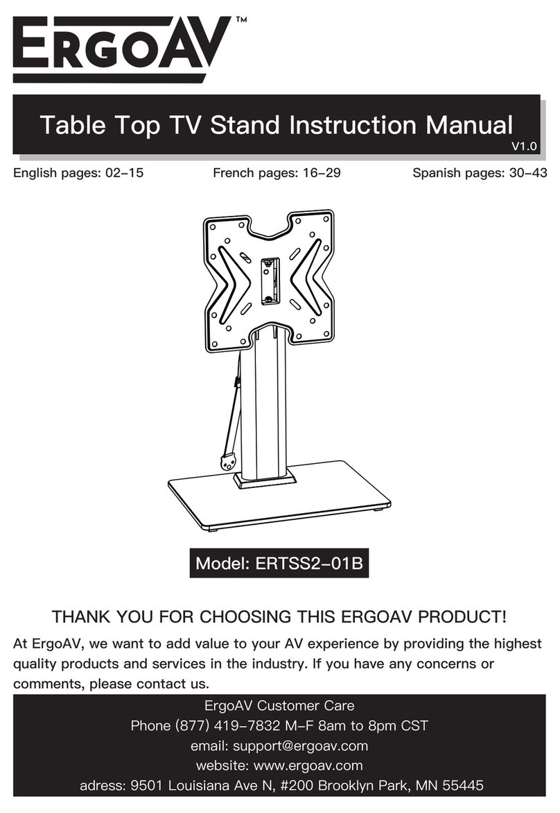 ErgoAV ERTSS2-01B instruction manual