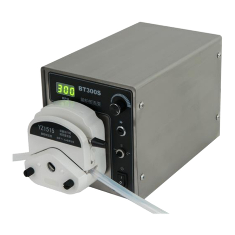 Rongbai Precision Pump BT300S User manual