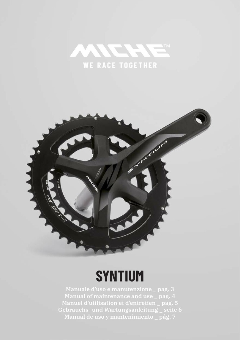 Miche SYNTIUM User guide