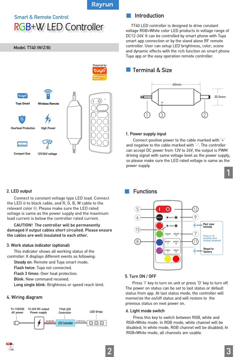 Rayrun TT40 user manual
