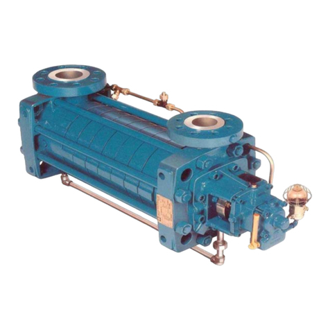 Flowserve CS User manual