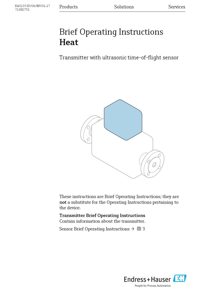 Endress+Hauser Heat Technical specifications