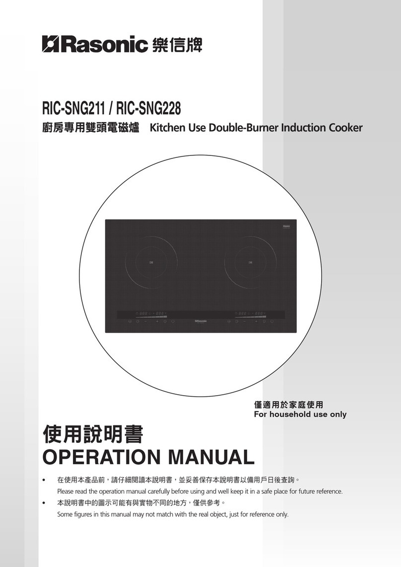 Rasonic RIC-SNG211 User manual