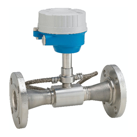 Endress+Hauser Proline Prosonic Flow E 100 HART User manual