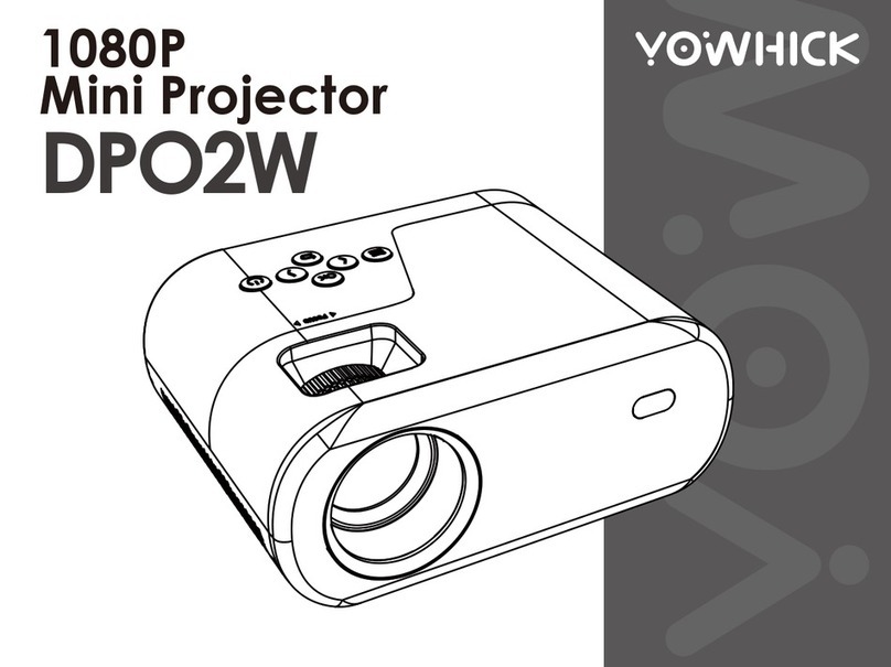 YOWHICK DPO2W manual