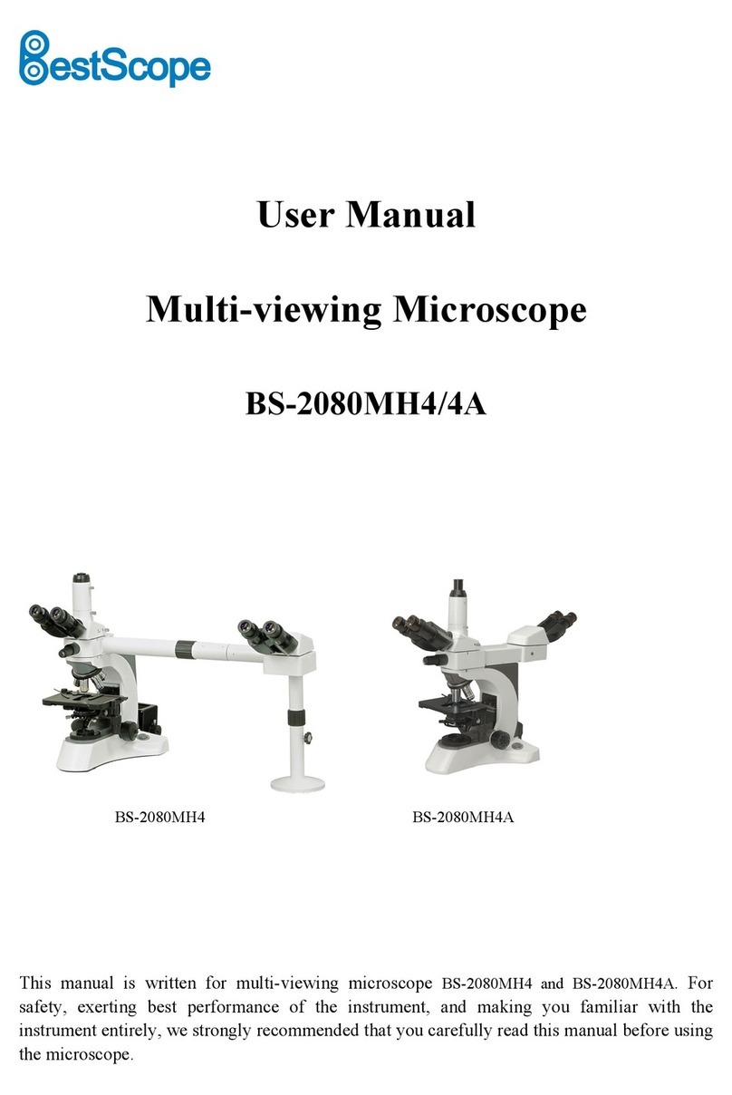 BestScope BS-2080MH4 User manual