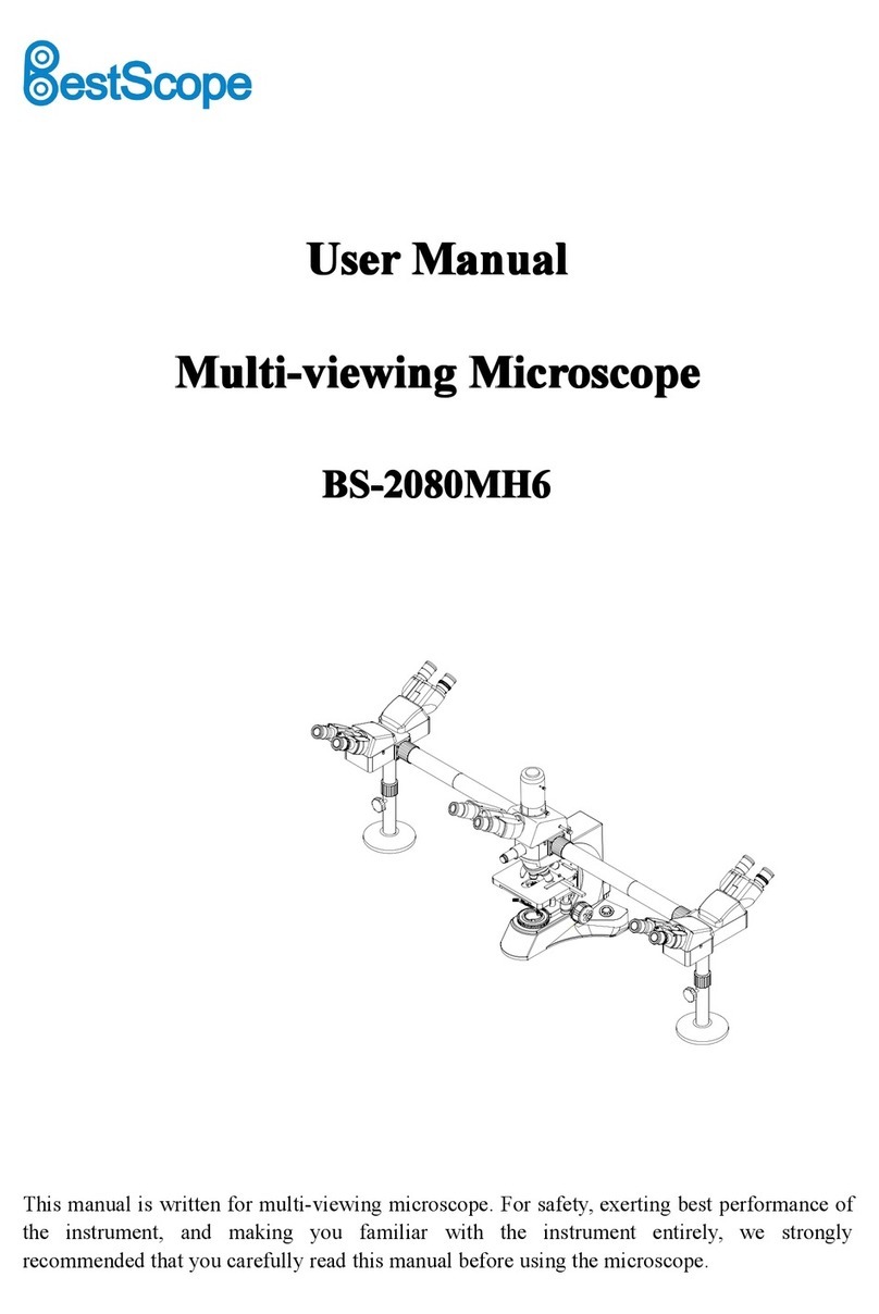 BestScope BS-2080MH6 User manual