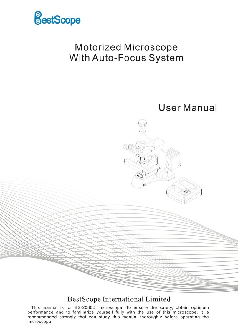 BestScope BS-2080D User manual