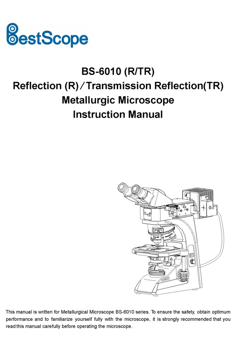 BestScope BS-6010R User manual