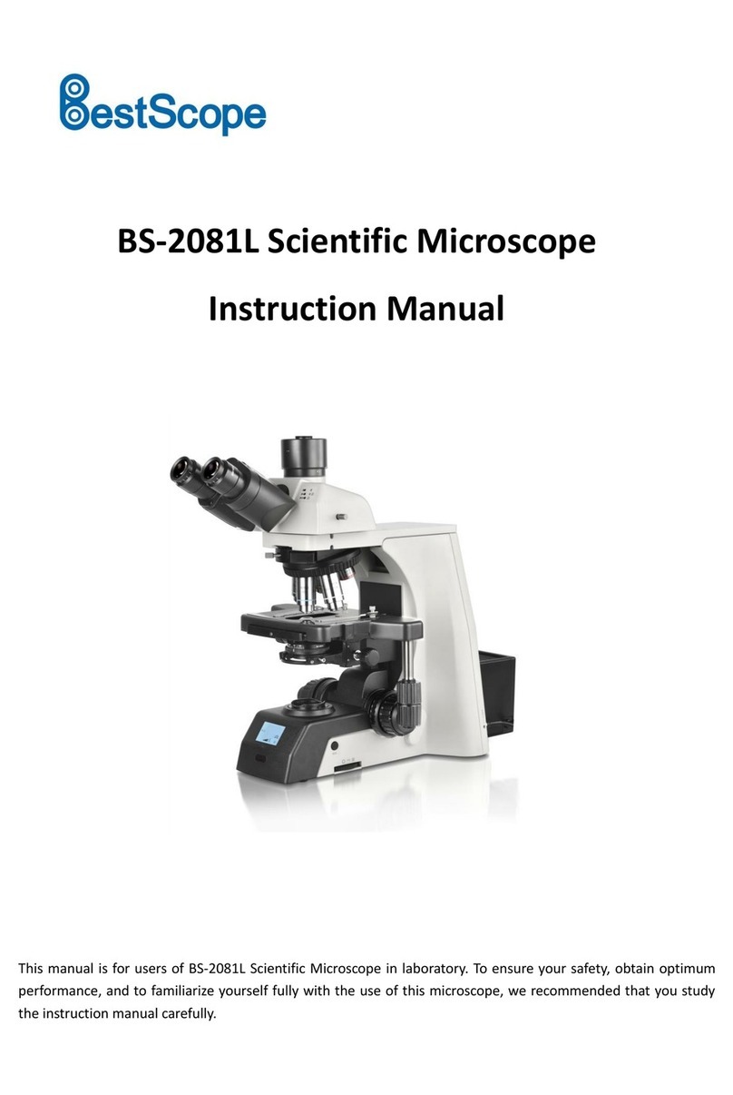 BestScope BS-2081L instruction manual