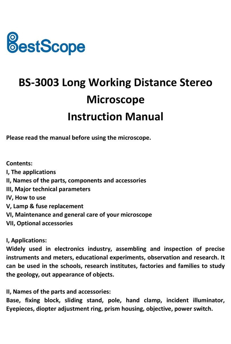 BestScope BS-3003 instruction manual