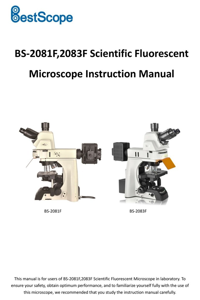 BestScope BS-2081F User manual