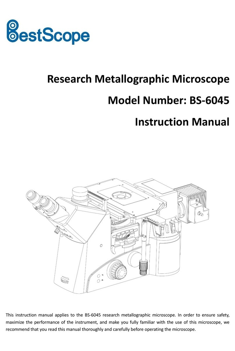 BestScope BS-6045 User manual