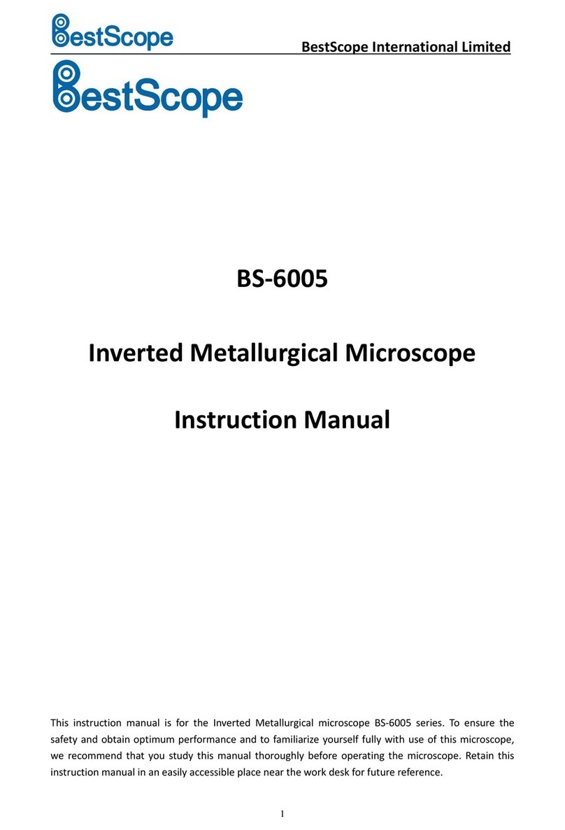 BestScope BS-6005 User manual