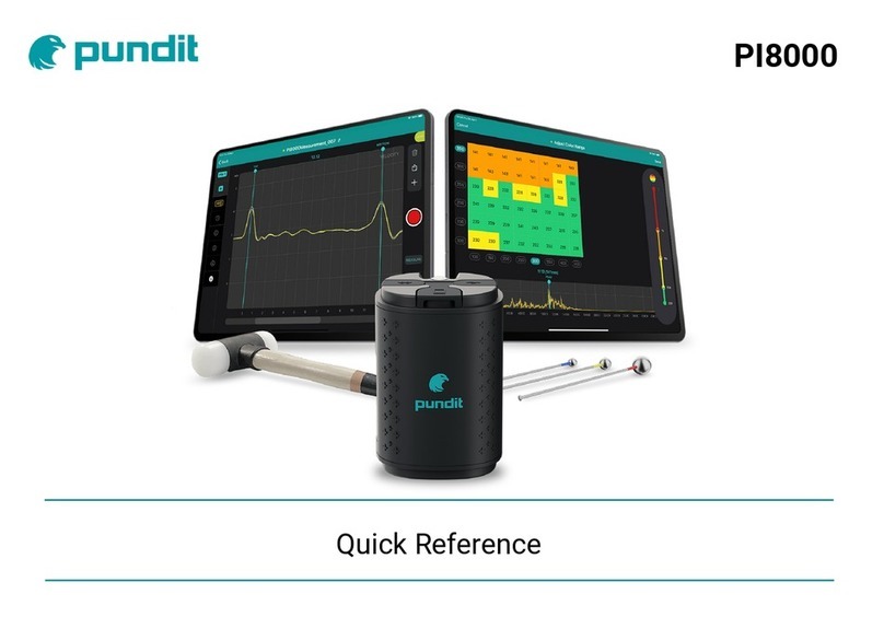 Pundit PI8000 quick reference