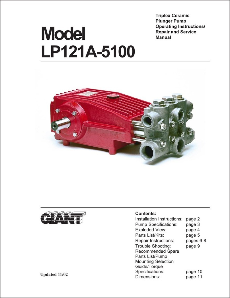 Giant LP121A-5100 User manual