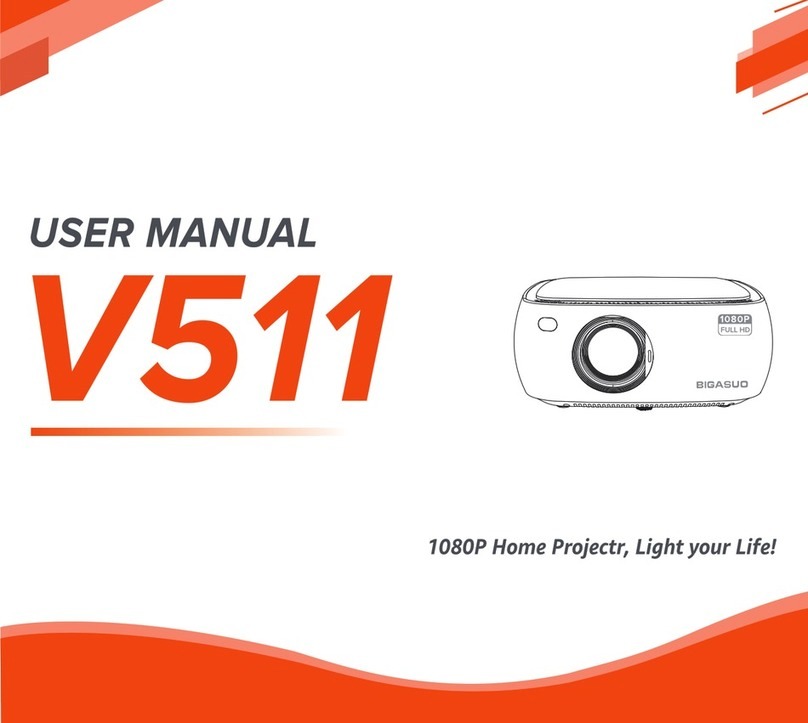 BIGASUO V511 User manual