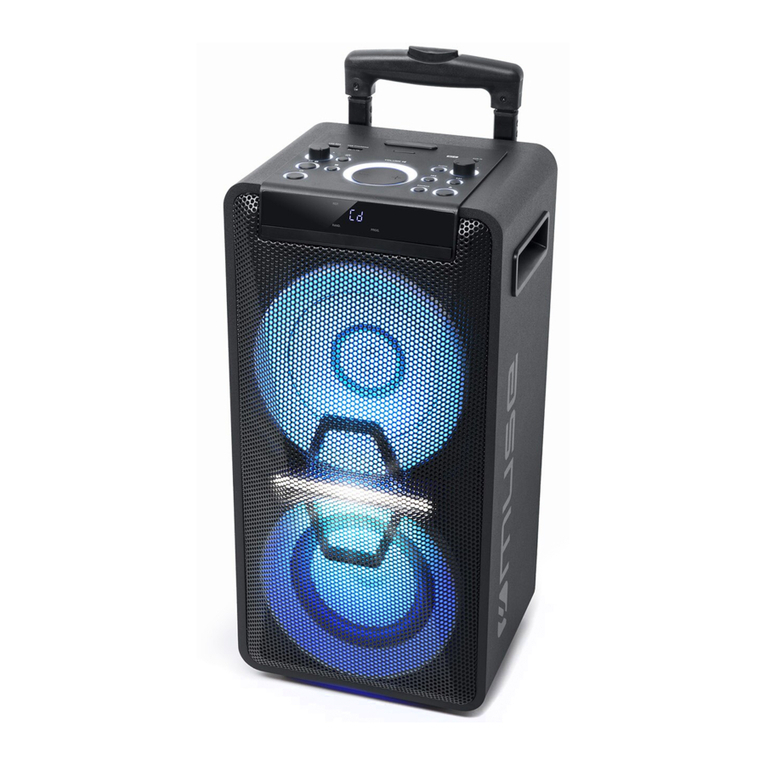 Muse M-1920 DJ user manual