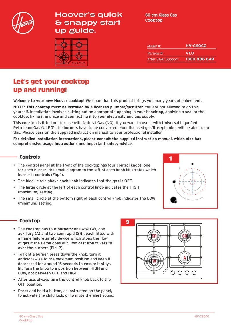 Hoover HV-C60CG User manual Hoover HV-C60CG User manual