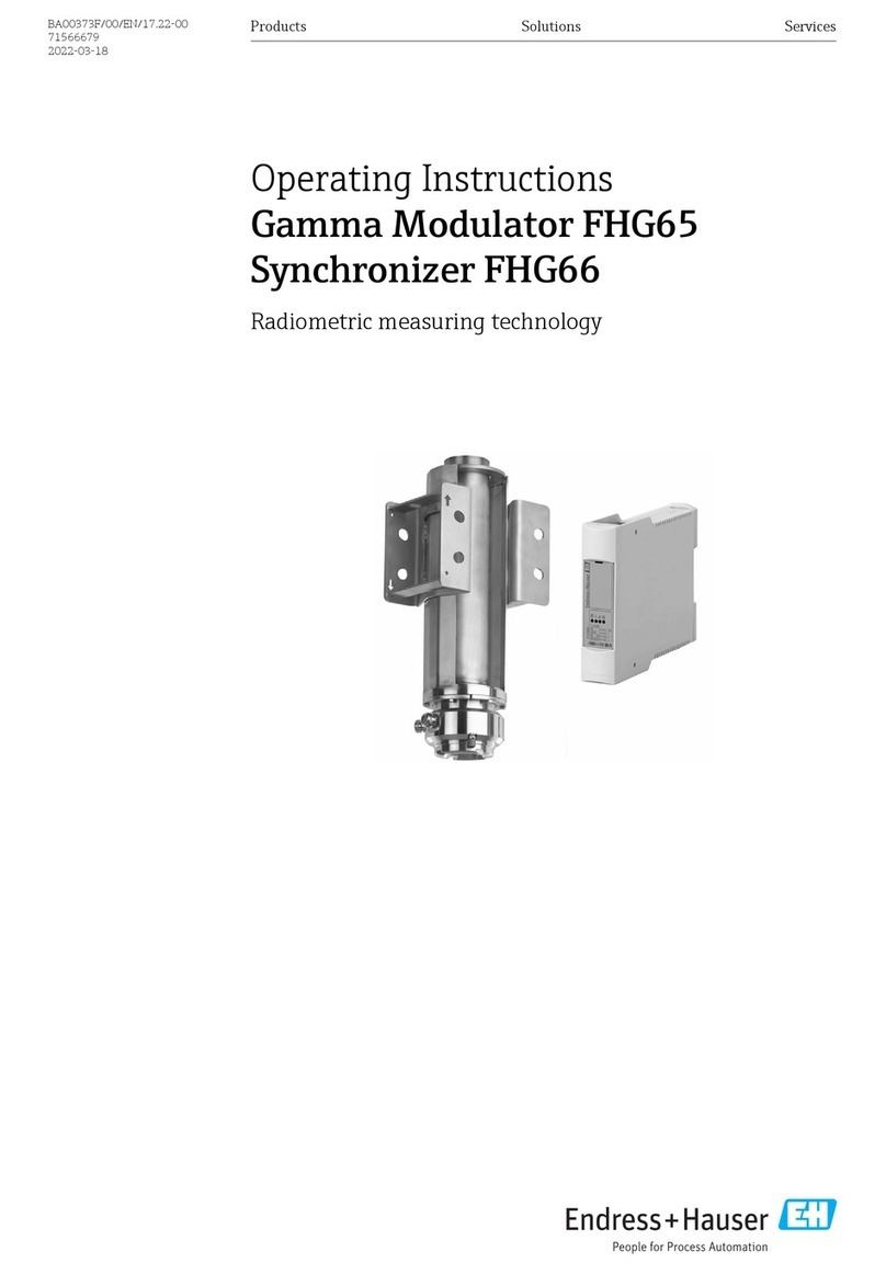 Endress+Hauser FHG65 operating instructions