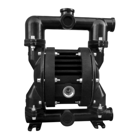 ALPHA DYNAMIC PUMPS Ruby 051 User manual ALPHA DYNAMIC PUMPS Ruby 051 User manual