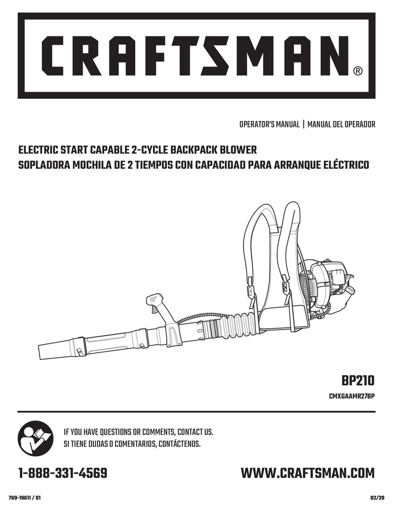 Craftsman BP210 User manual
