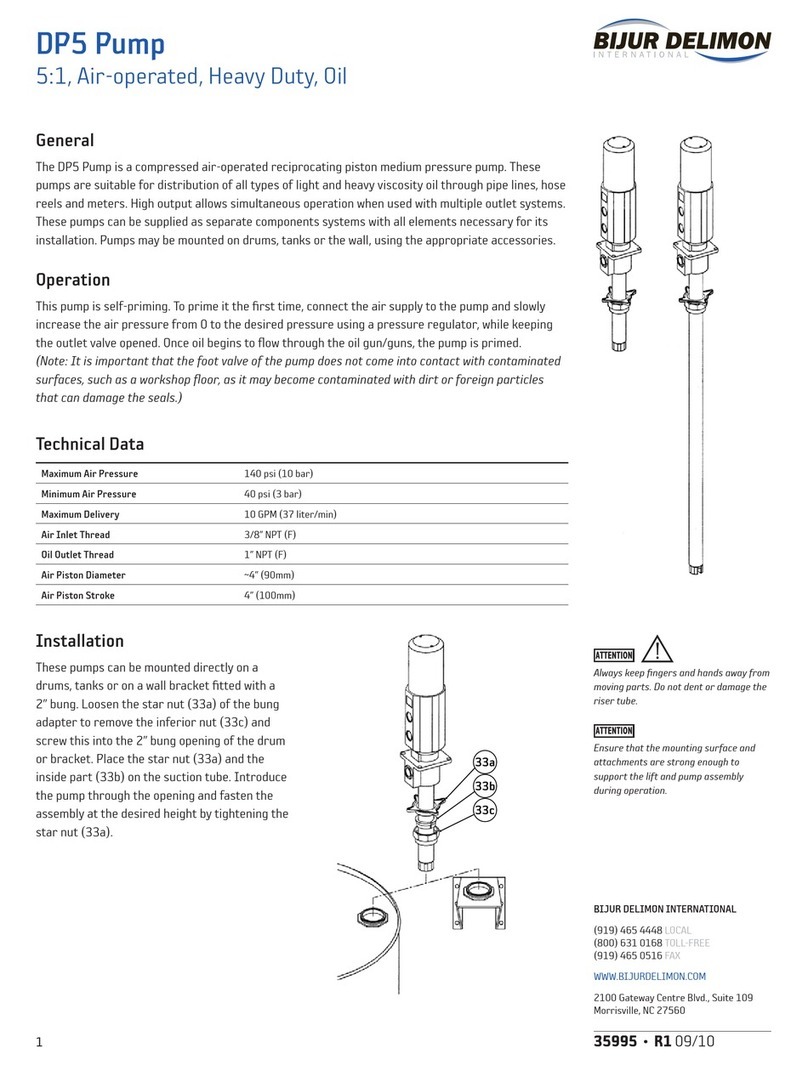 Bijur Delimon DP5 quick start guide