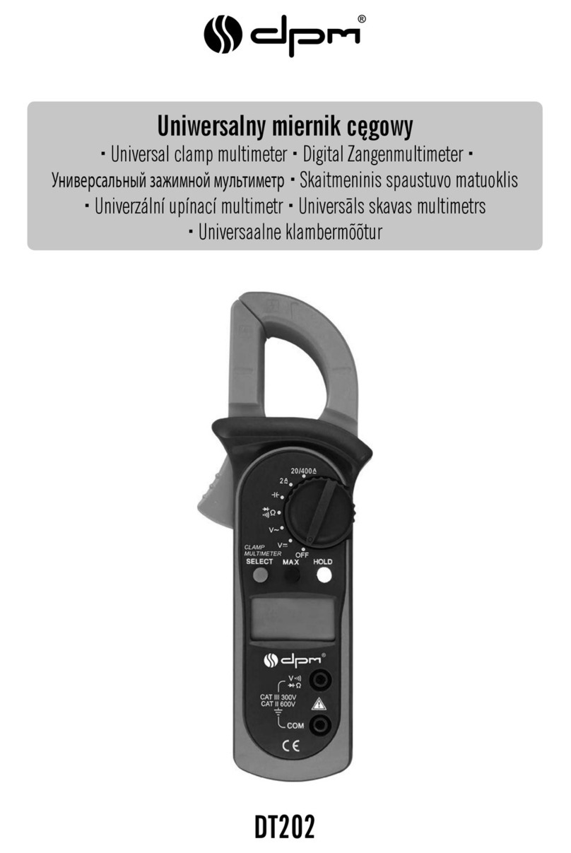 DPM DT202 User manual