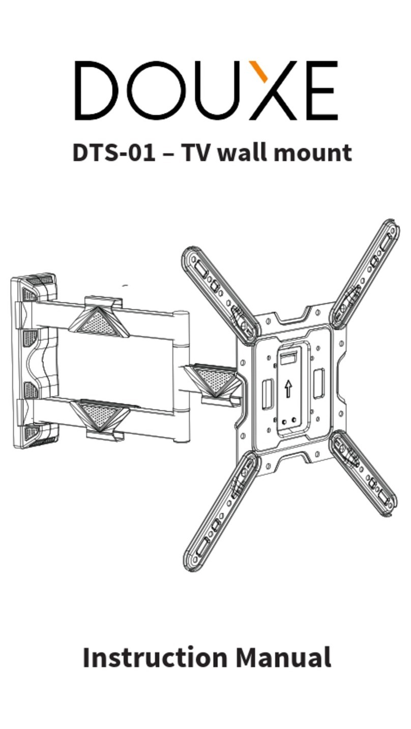 DOUXE DTS-01 instruction manual