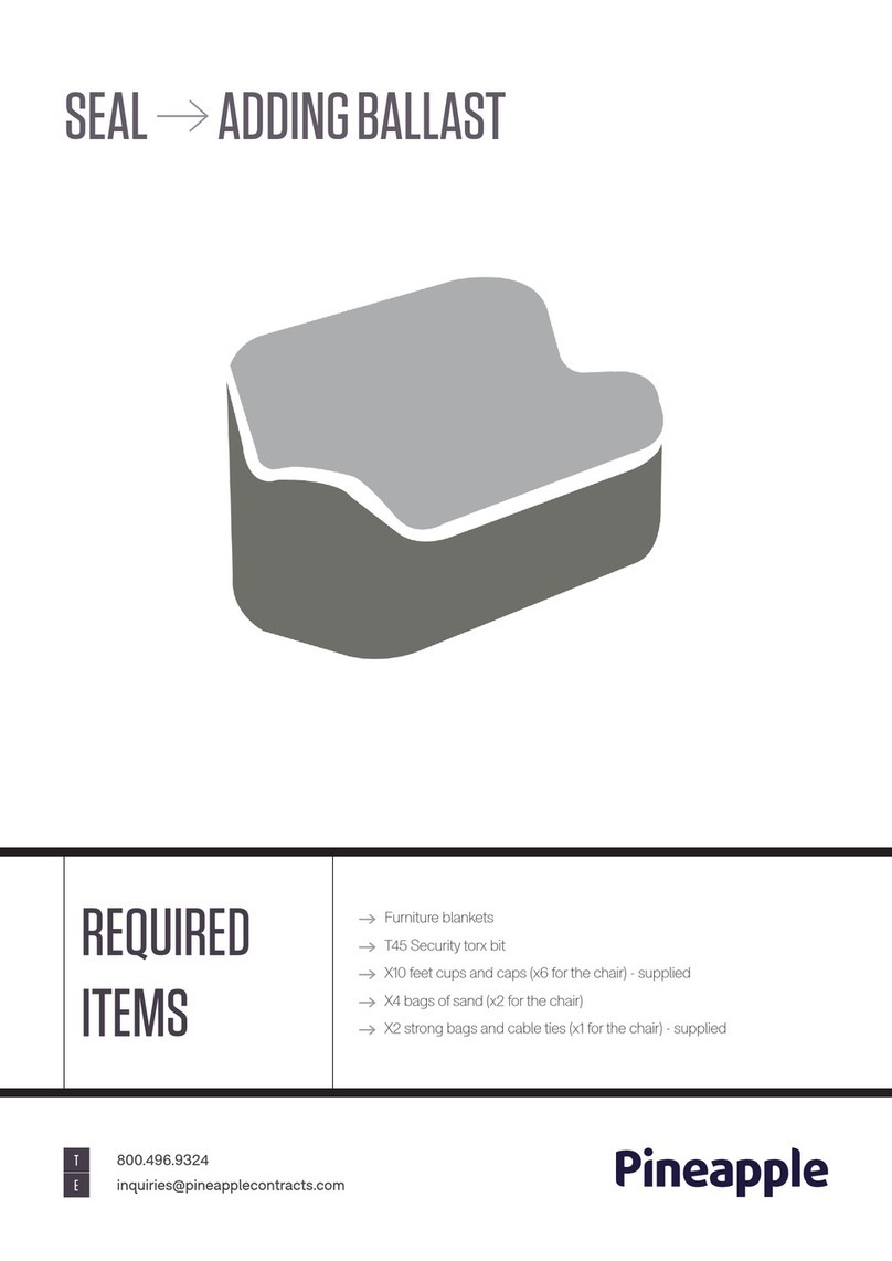 Pineapple SEAL User manual
