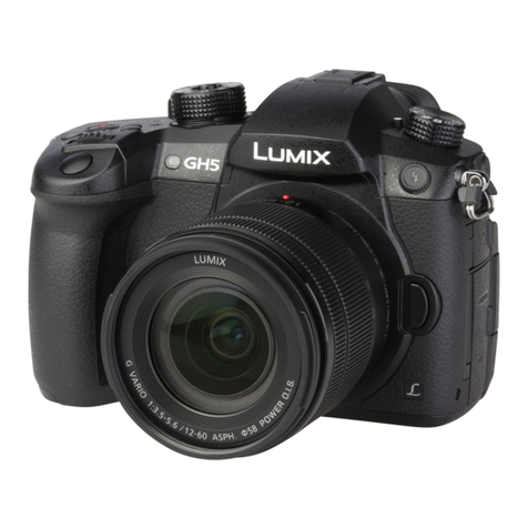 Panasonic DC-GH5L Technical specifications