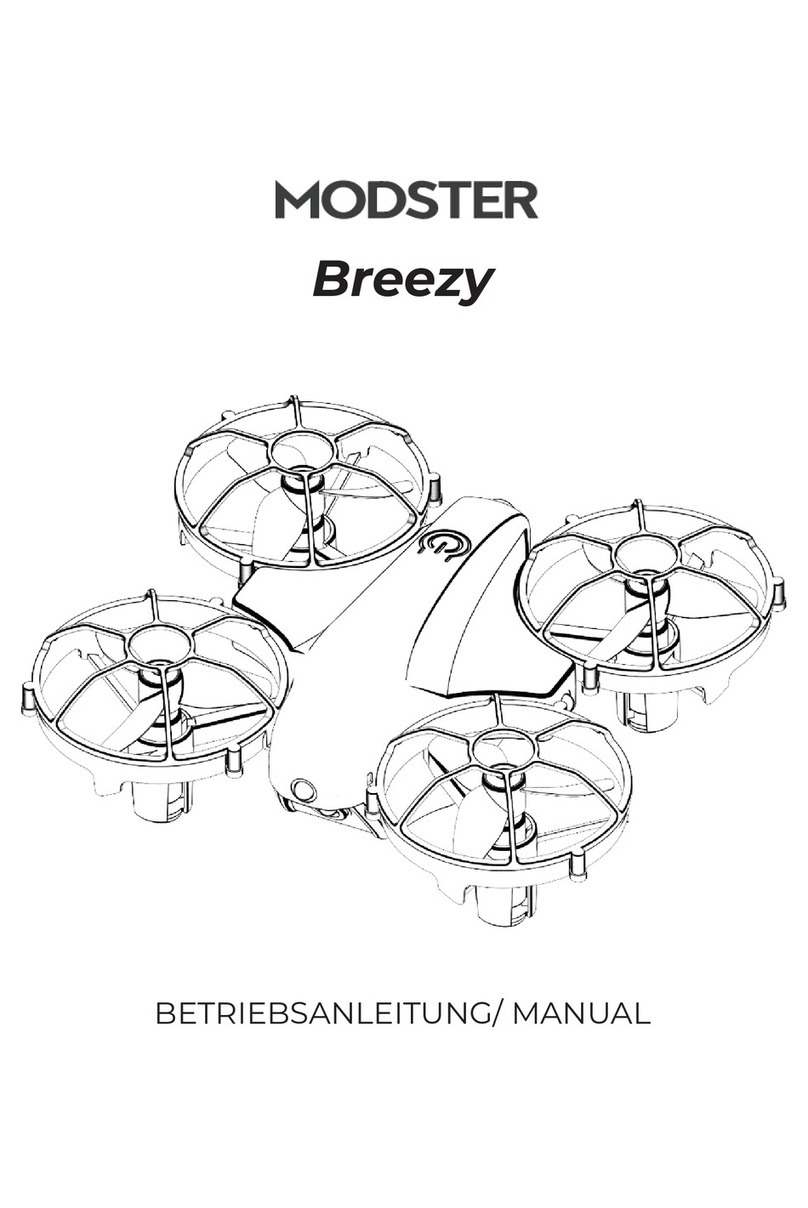 MODSTER Breezy User manual