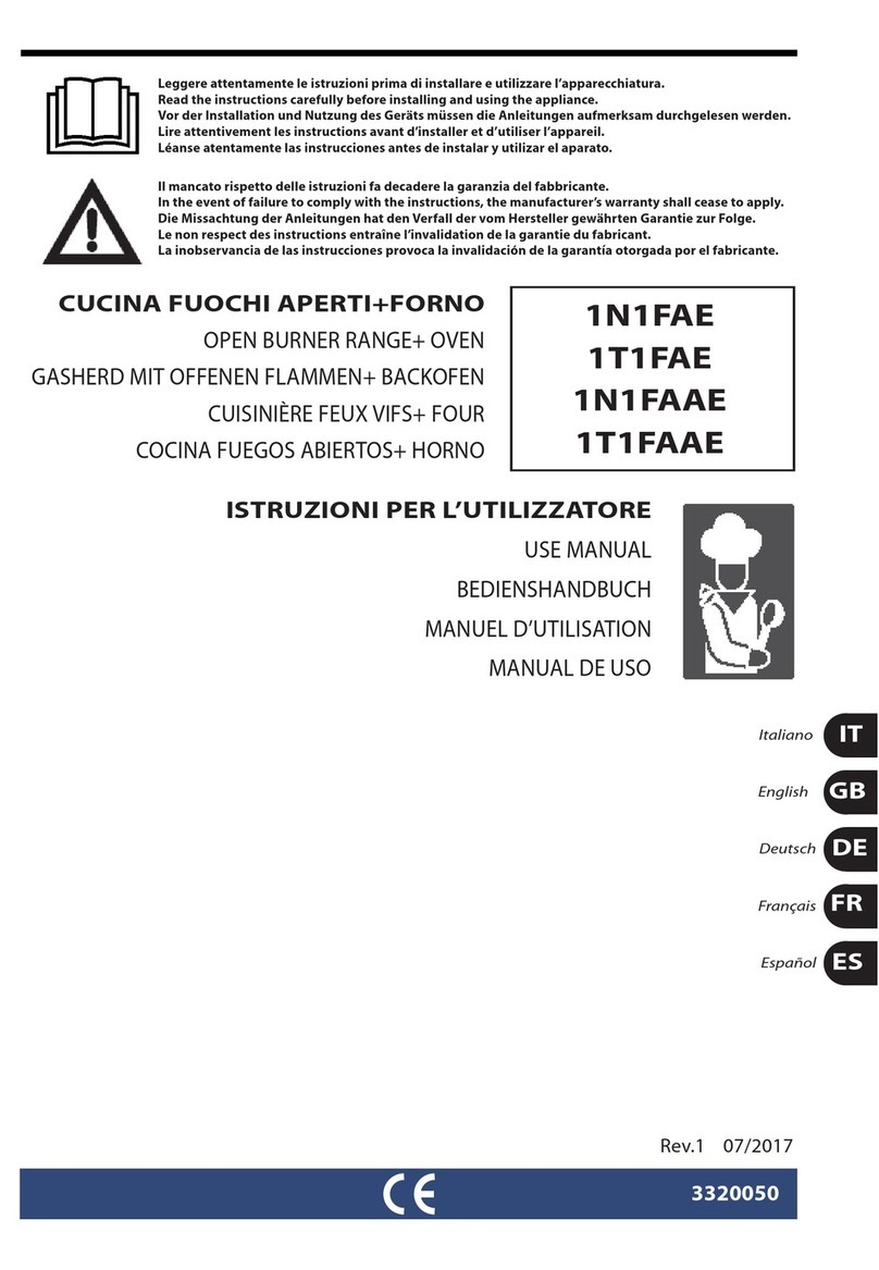 Angelo Po 1N1FAE user manual