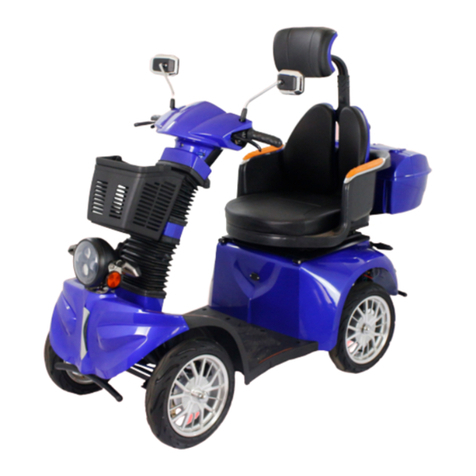 Gio Electric Tron owner's manual