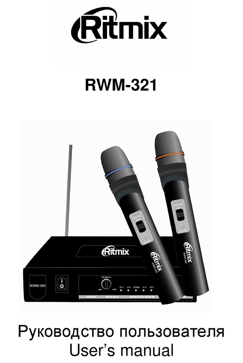 Ritmix RWM-321 user manual