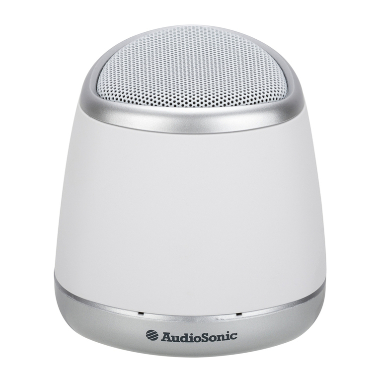 AudioSonic SK-1504 user manual