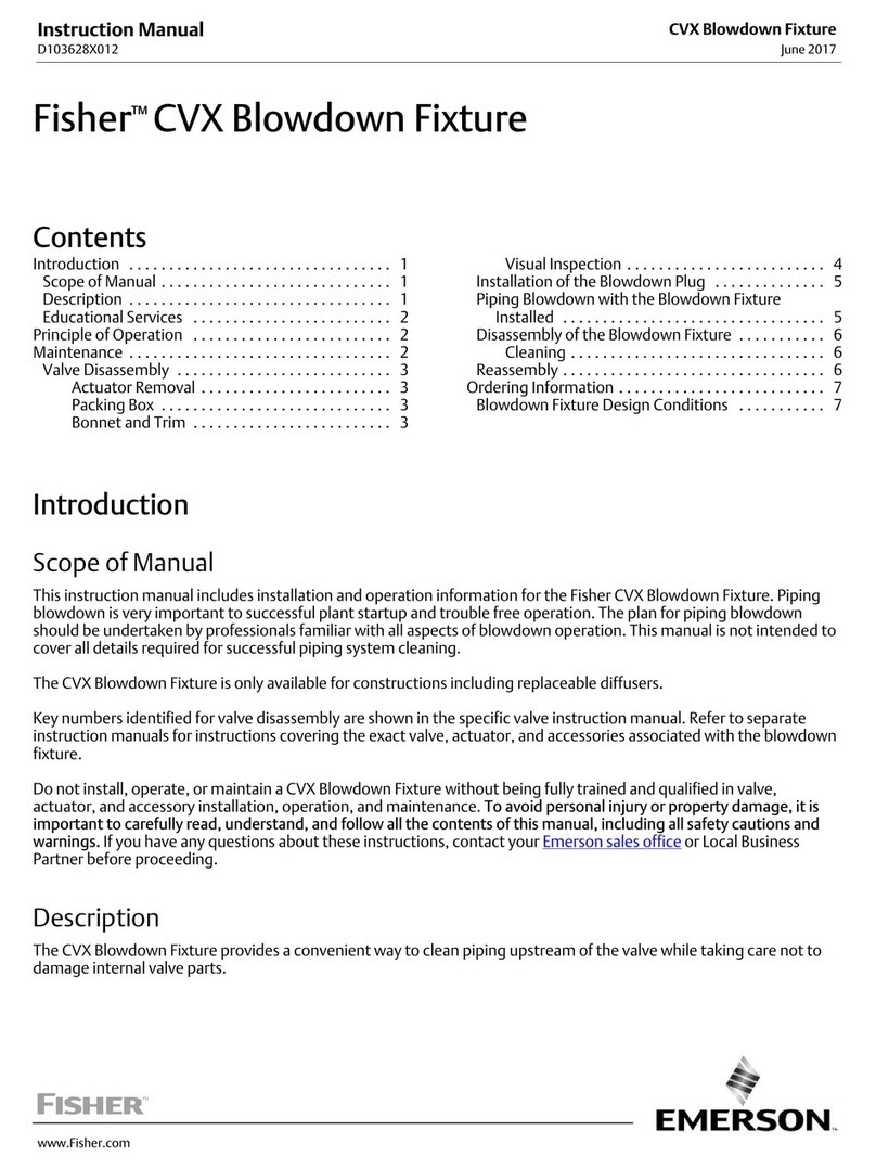 Emerson Fisher CVX User manual
