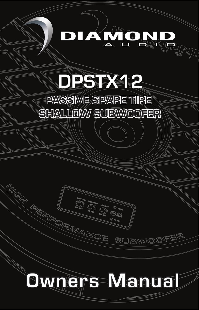Diamond Audio DPSTX12 owner's manual