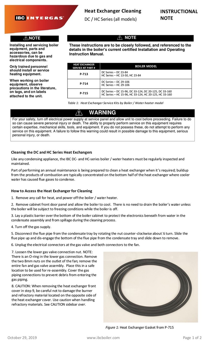 IBC INTERGAS DC Series CLEANING