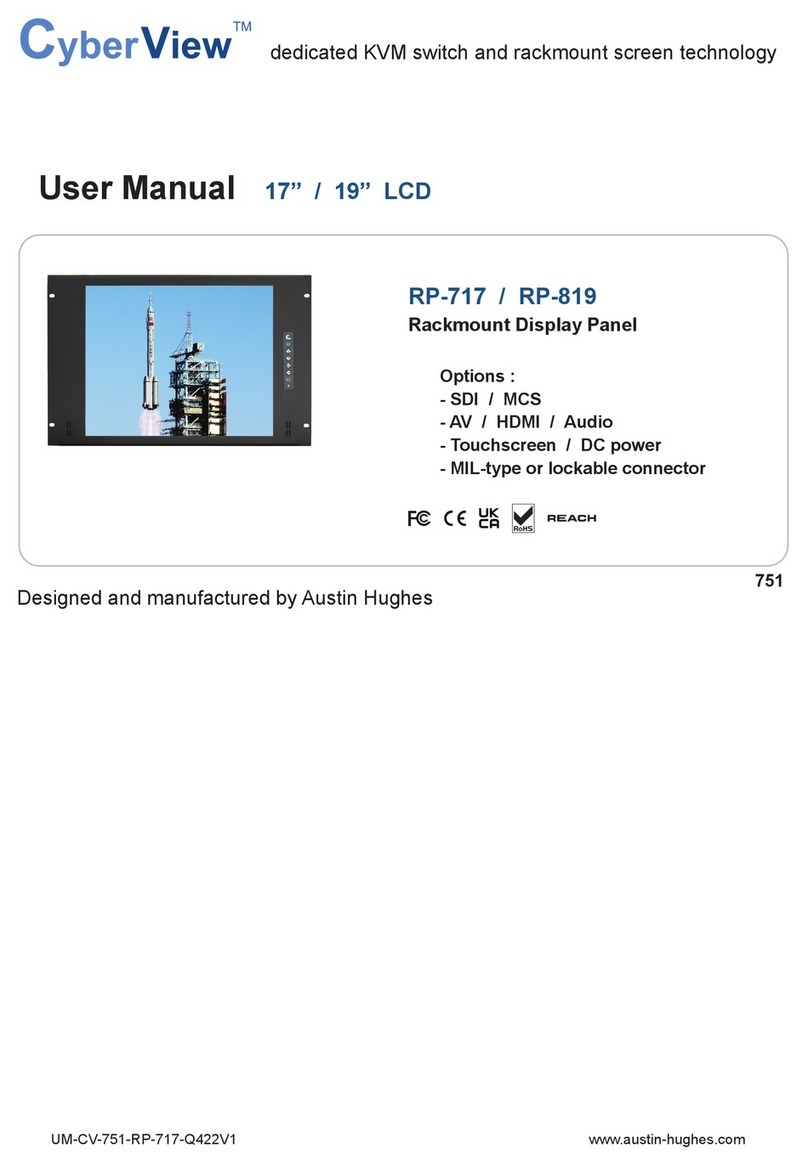 Austin Hughes CyberView RP-717 User manual