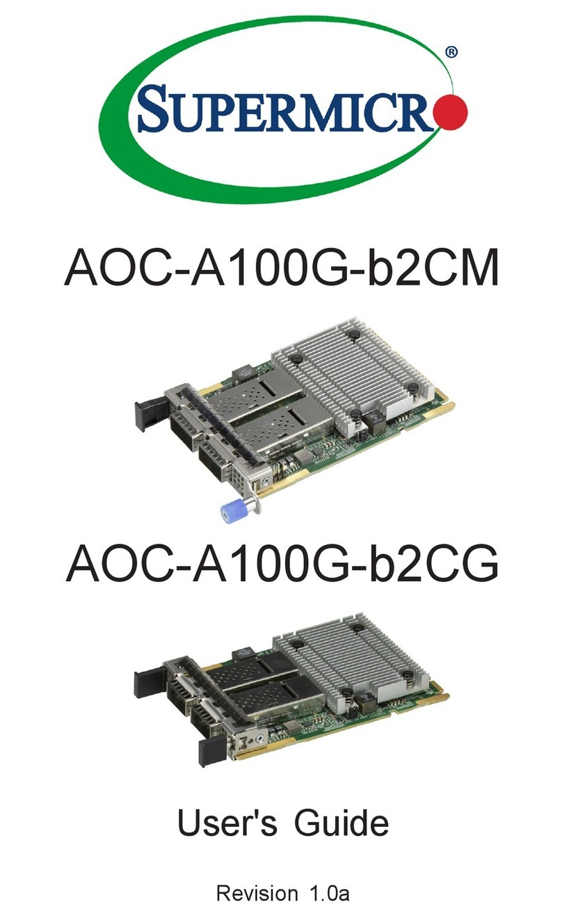 Supermicro AOC-A100G-b2CG User manual