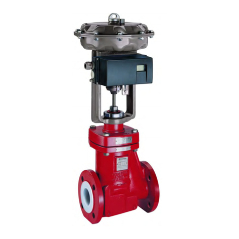 Richter RSS/F Series Installation and operating manual