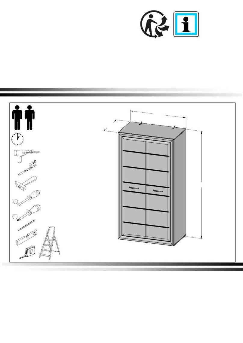 Forte MRYS821 User manual