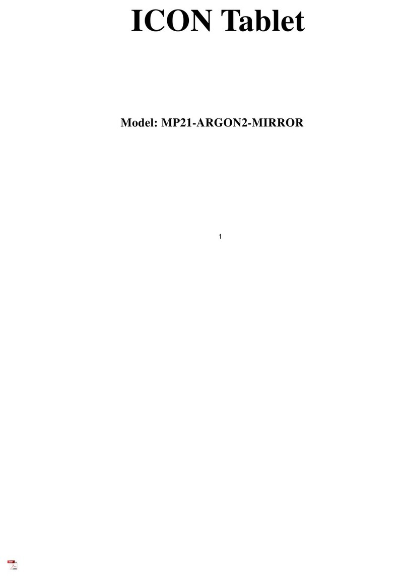 ICON MP21-ARGON2-MIRROR User manual
