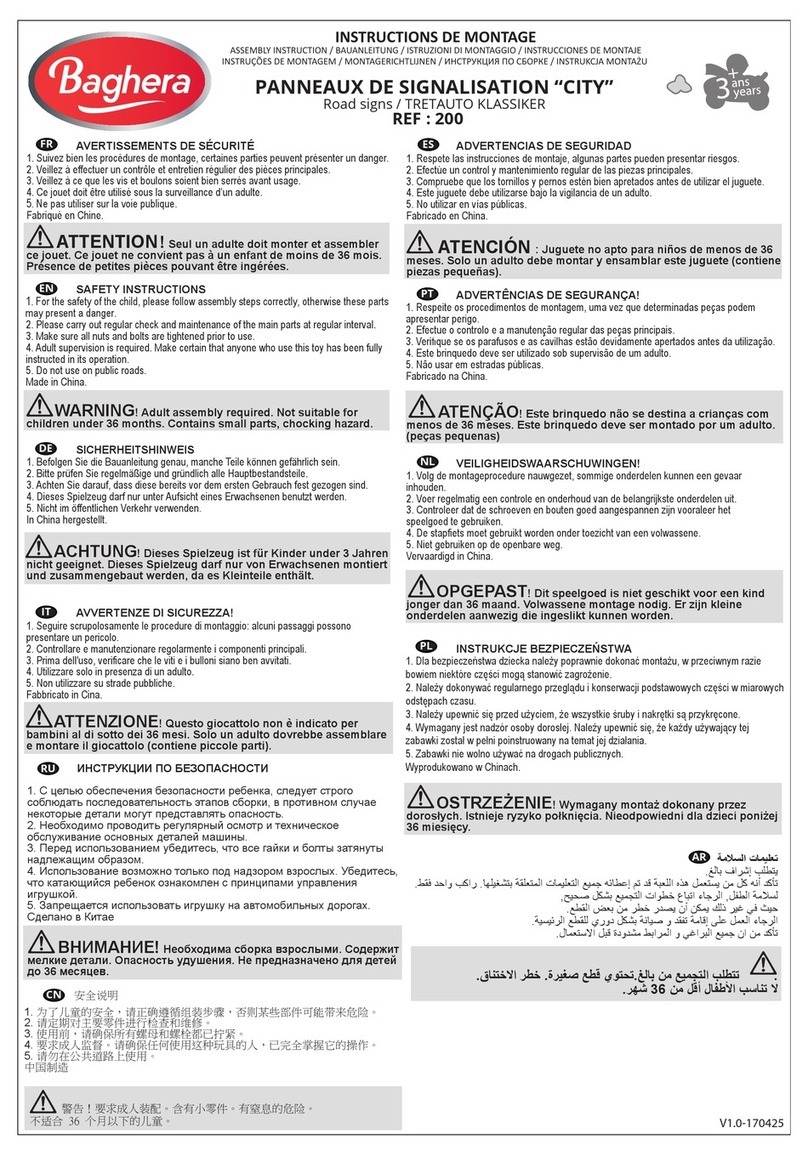 Baghera 200 Assembly instruction