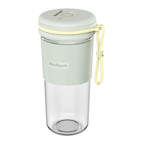 BLUE STONE BLB-5303 user manual