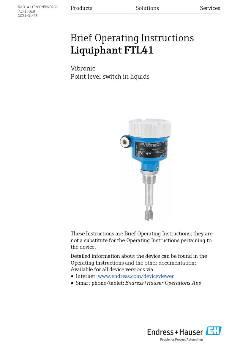 Endress+Hauser Liquiphant FTL41 Technical specifications Endress+Hauser Liquiphant FTL41 Technical specifications