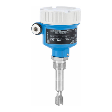 Endress+Hauser Liquiphant FTL41 Technical specifications