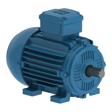 WEG W21 User manual